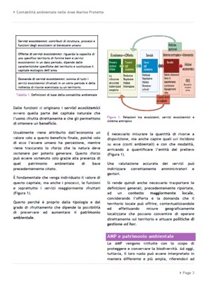 prg-cont-pg3